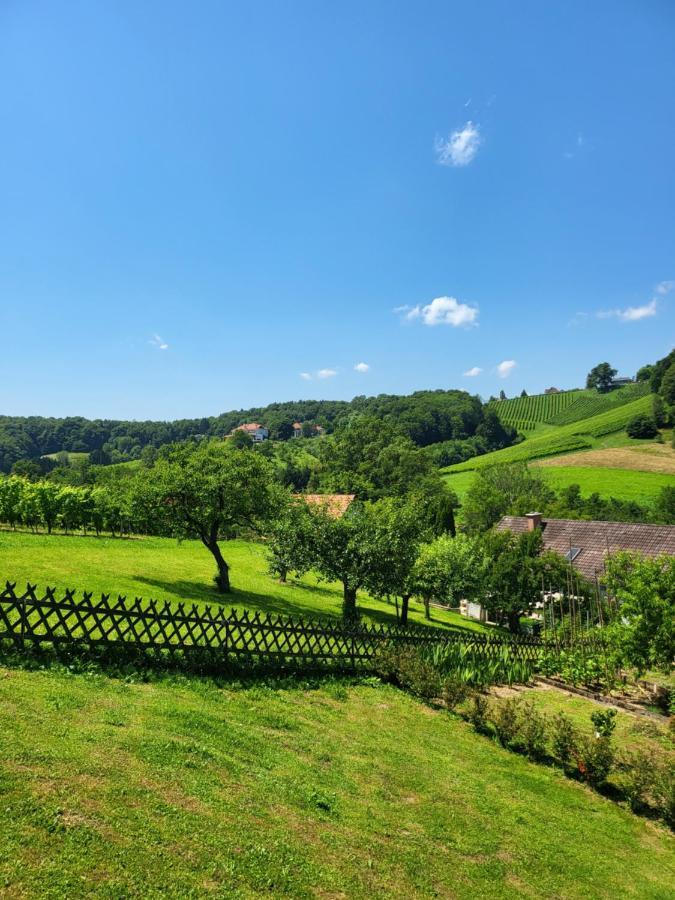 Villa Ferienhaus Zangl Am Seggauberg - Suedsteiermark Leibnitz Exterior foto