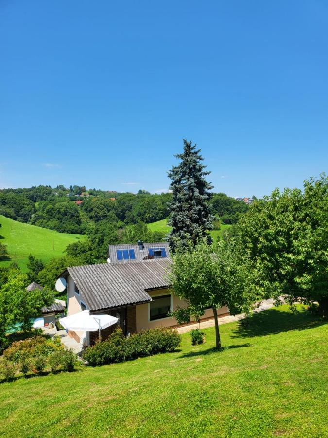 Villa Ferienhaus Zangl Am Seggauberg - Suedsteiermark Leibnitz Exterior foto