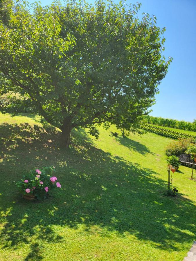 Ferienhaus Zangl Am Seggauberg - Suedsteiermark Leibnitz Exterior foto