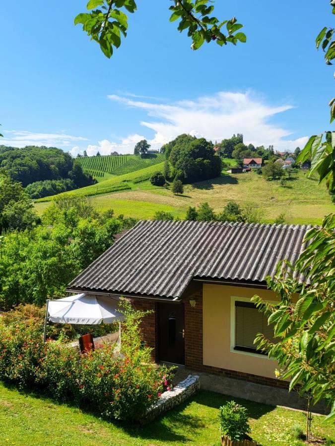 Villa Ferienhaus Zangl Am Seggauberg - Suedsteiermark Leibnitz Exterior foto