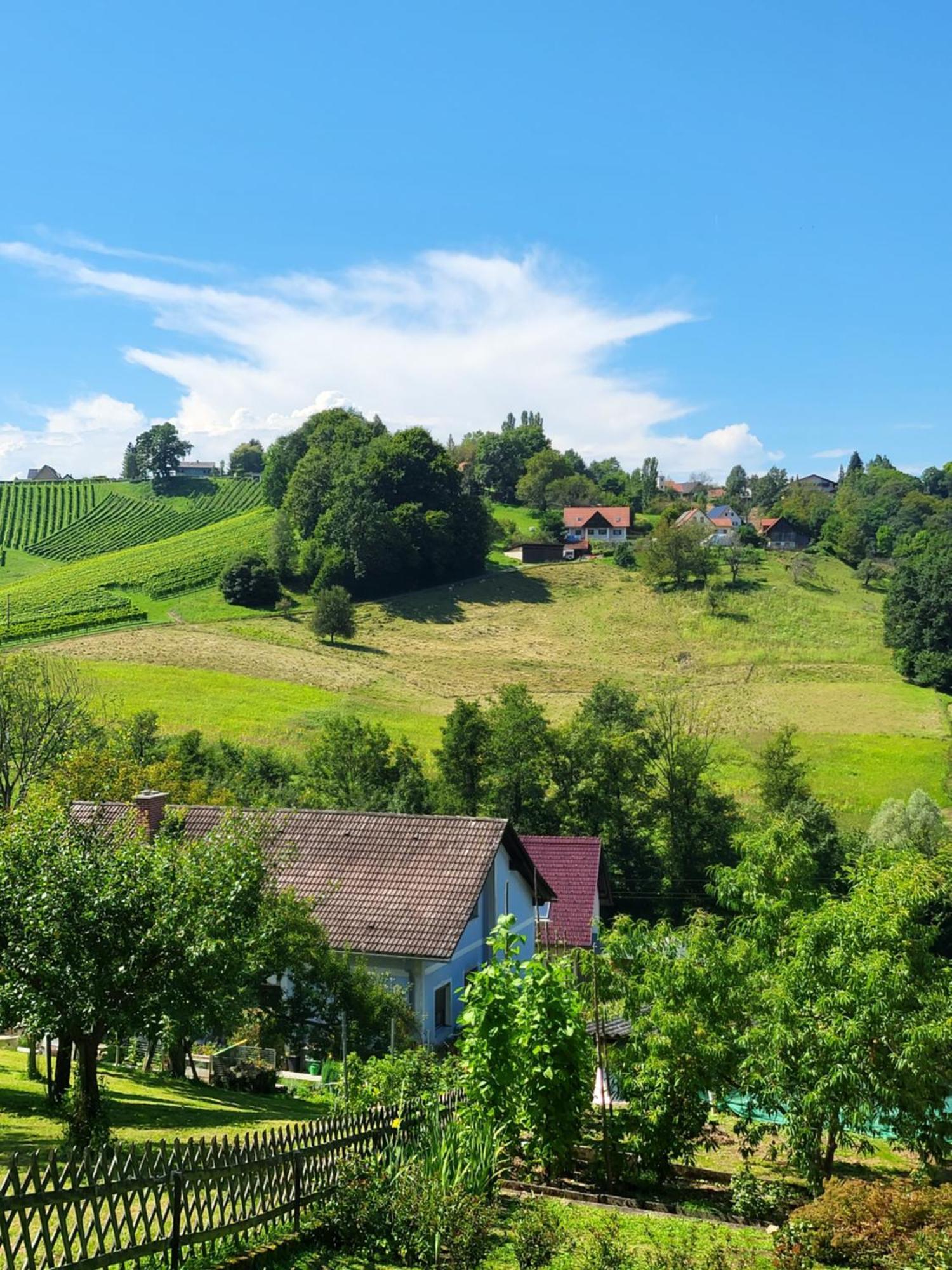 Ferienhaus Zangl Am Seggauberg - Suedsteiermark Leibnitz Exterior foto