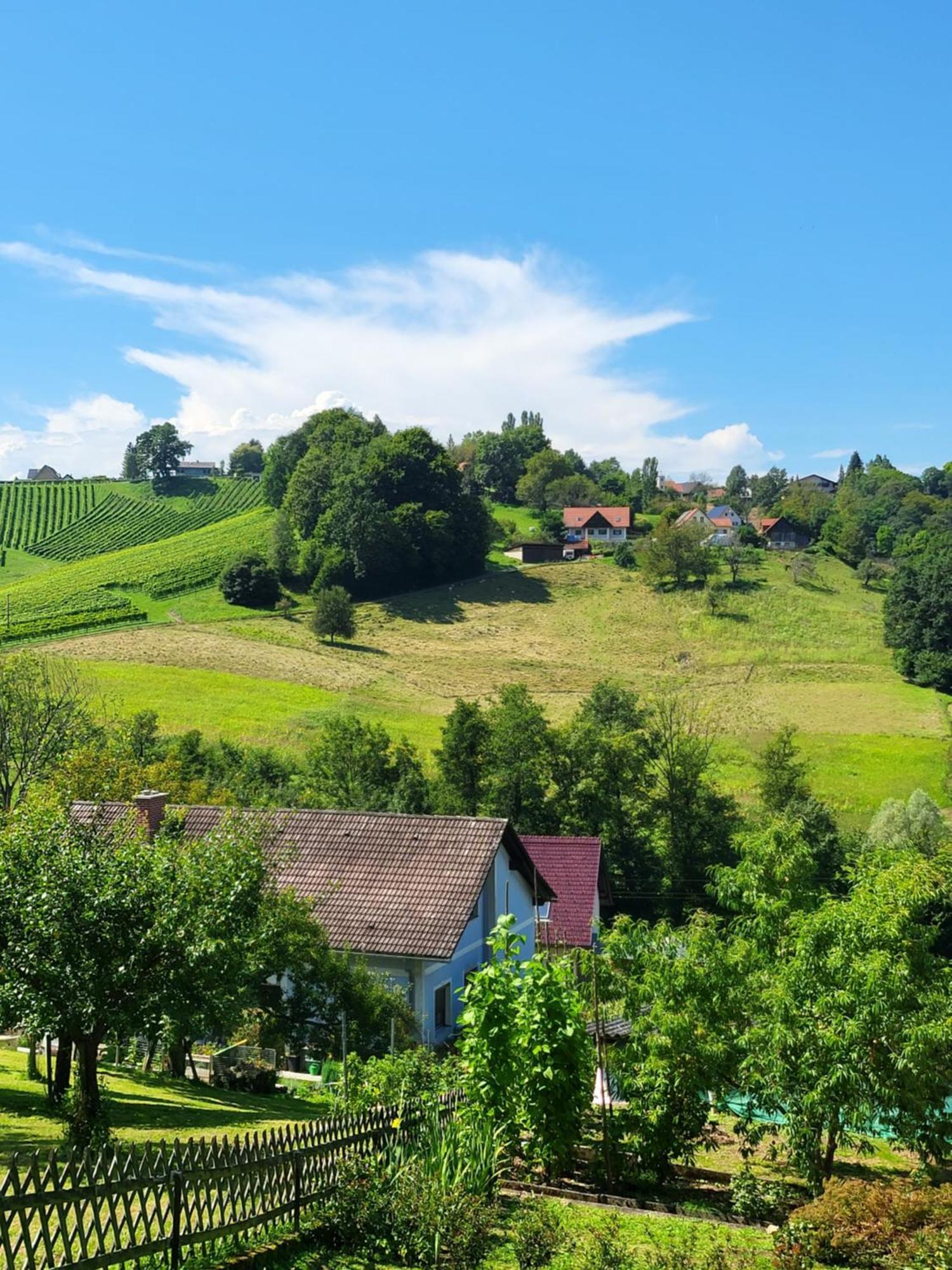 Villa Ferienhaus Zangl Am Seggauberg - Suedsteiermark Leibnitz Exterior foto