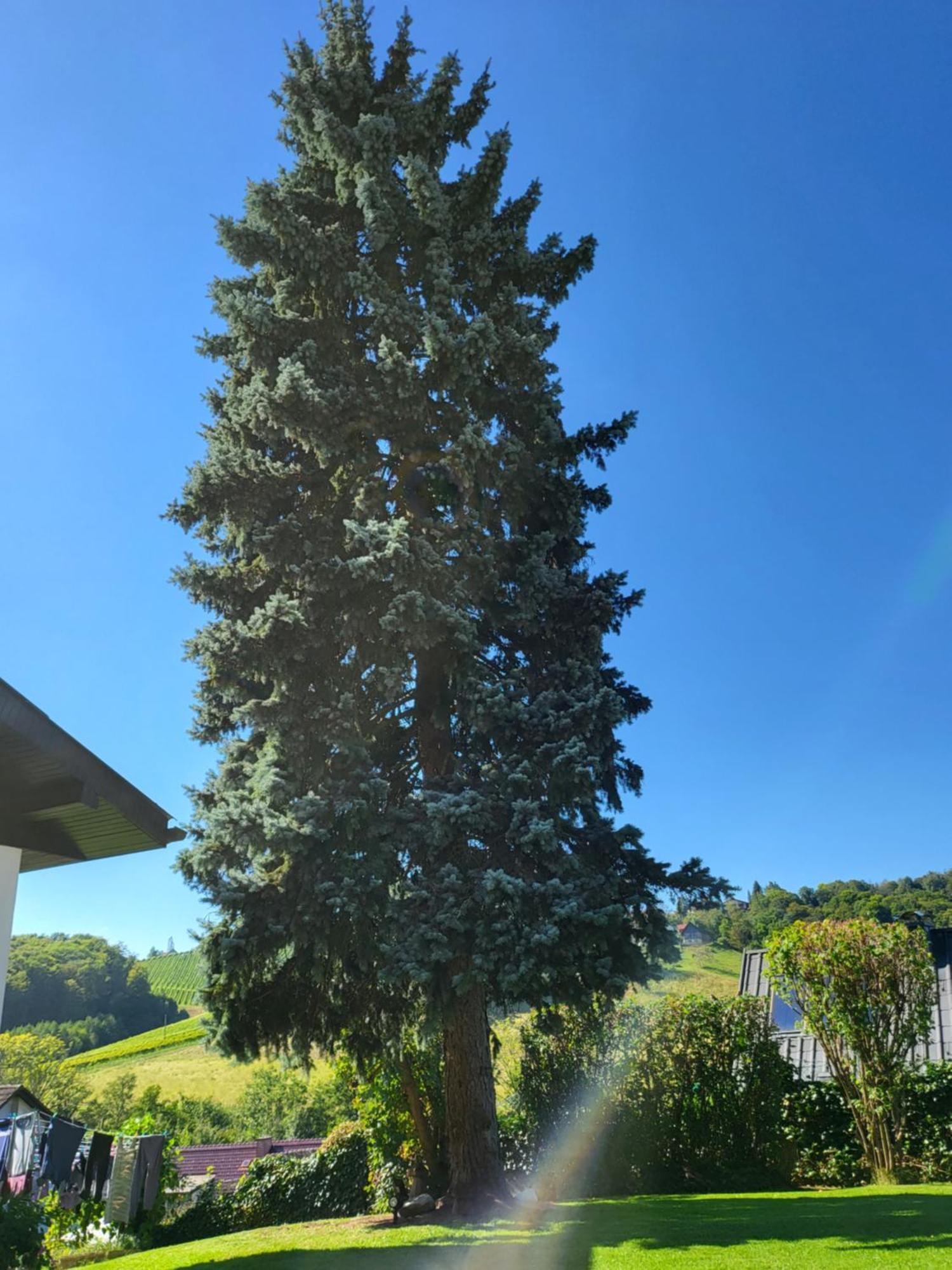 Villa Ferienhaus Zangl Am Seggauberg - Suedsteiermark Leibnitz Exterior foto