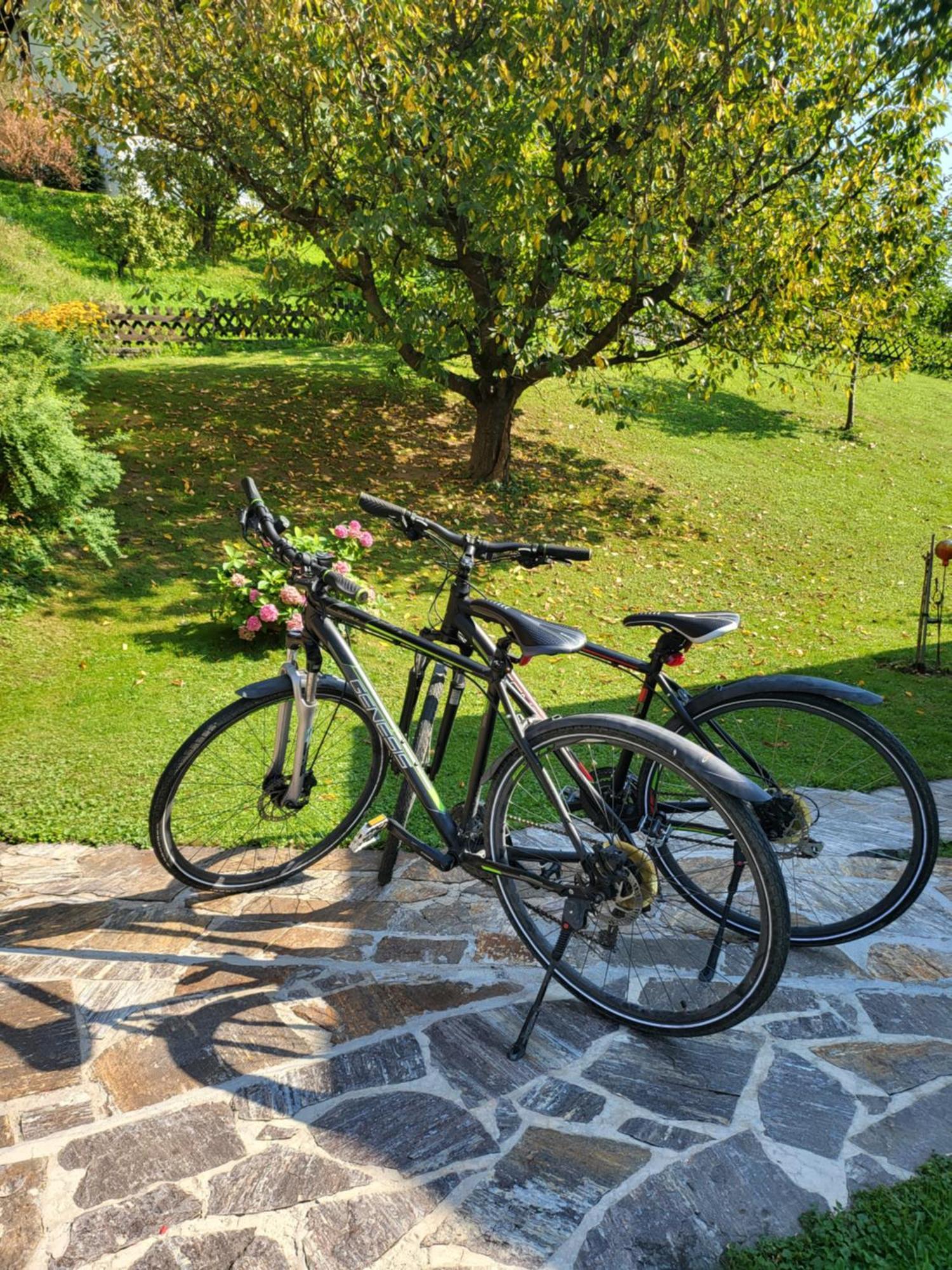 Ferienhaus Zangl Am Seggauberg - Suedsteiermark Leibnitz Exterior foto