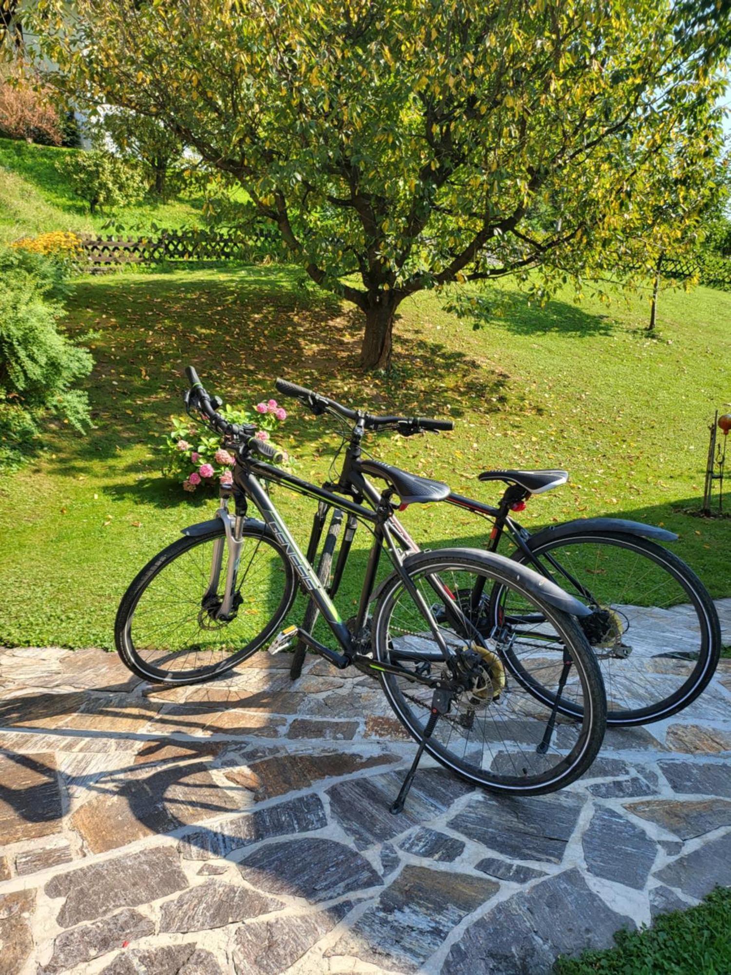 Villa Ferienhaus Zangl Am Seggauberg - Suedsteiermark Leibnitz Exterior foto