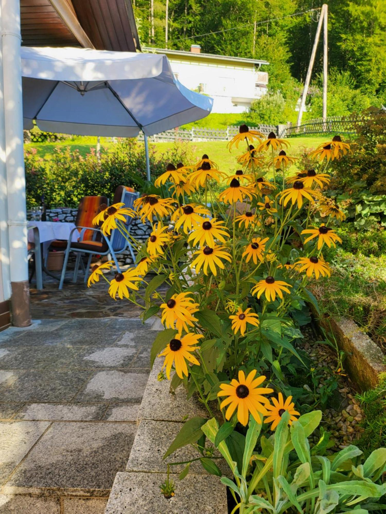 Villa Ferienhaus Zangl Am Seggauberg - Suedsteiermark Leibnitz Exterior foto